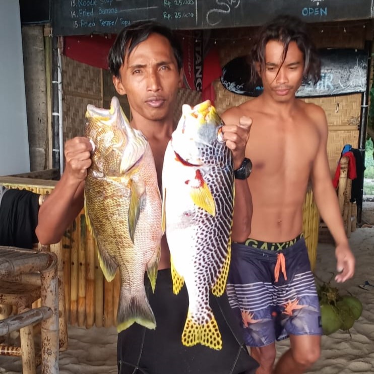 fish after spear fishing